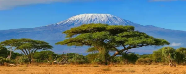 Le mont Kilimandjaro, le point le plus eleve de l-Afrique