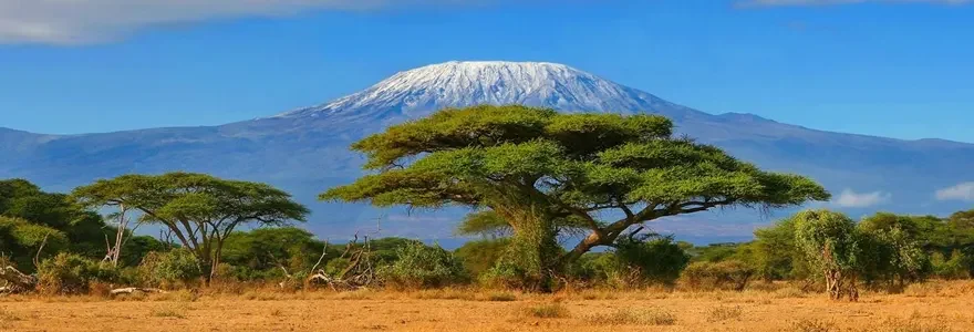 Le mont Kilimandjaro, le point le plus eleve de l-Afrique